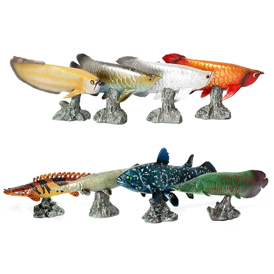 Arowana Pirarucu Coelacanth Bi - Kids Toys Reviews incelemesi ve fiyatı